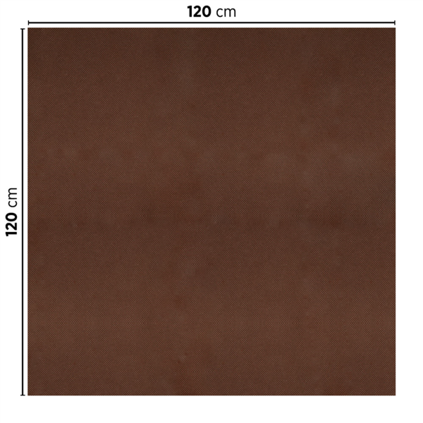211322_66a15a85__196.57_1