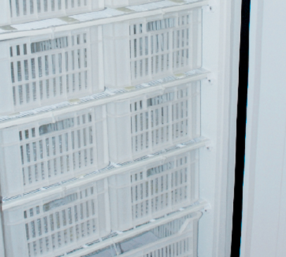 19058816_3