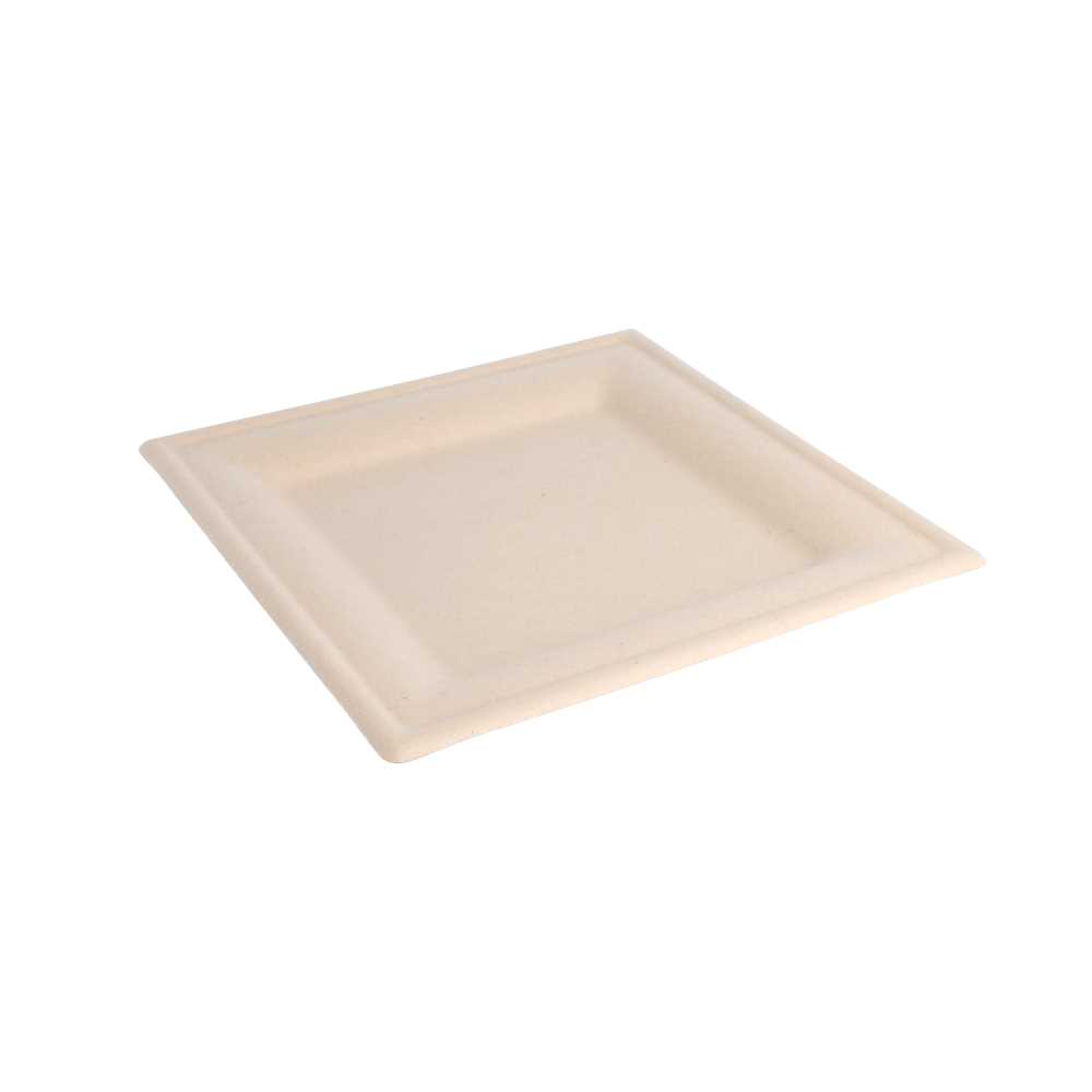PLATOS CUADRADOS 'BIONIC' 20x20x1 CM NATURAL BAGAZO (500 UNID.)