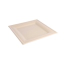 PLATOS CUADRADOS 'BIONIC' 20x20x1 CM NATURAL BAGAZO (500 UNID.)