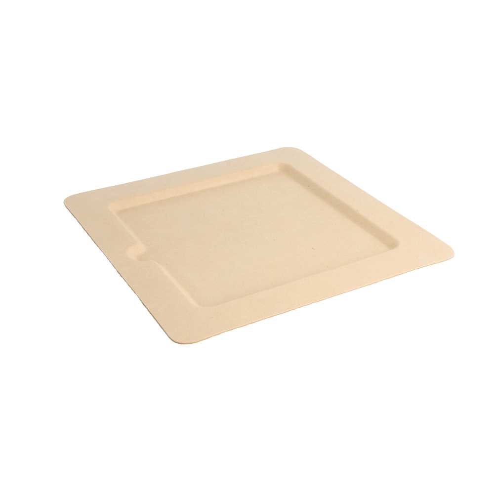 [212.72] Platos Cuadrados 'Bionic' 20X20X1 Cm Natural Bagazo (200 Unid.)