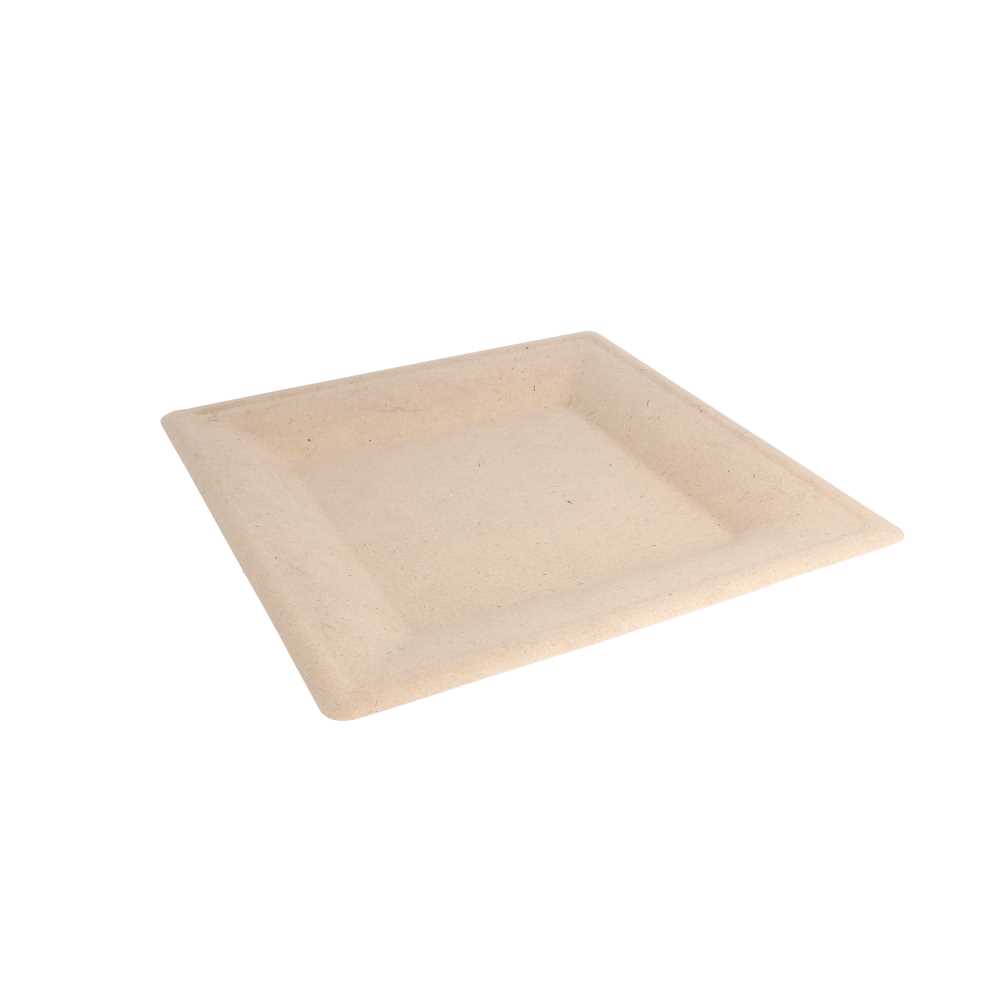 [150.55] PLATOS CUADRADOS 'BIONIC' 26,2x26,2x1,4 CM NATURAL BAGAZO (500 UNID.)