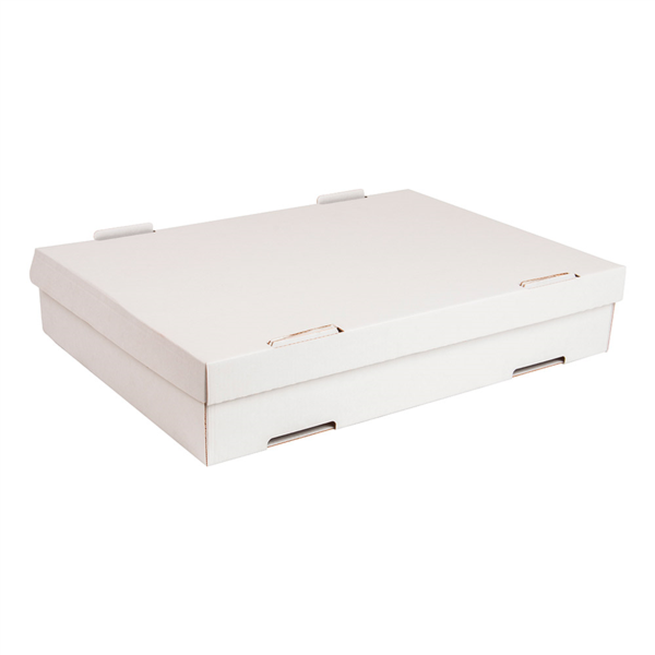 [169.26] Cajas Pasta 348 G/M2 40X30X8 Cm Blanco Cartón (50 Unid.)