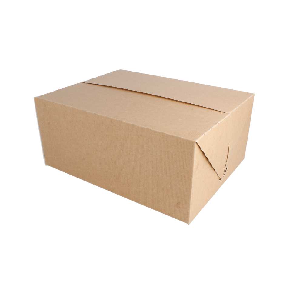CAJAS COMIDA PARA LLEVAR 'THEPACK' 5 L 310 G/M2 26x20,5x11,3 CM NATURAL CARTÓN ONDULADO NANO-MICRO (150 UNID.)