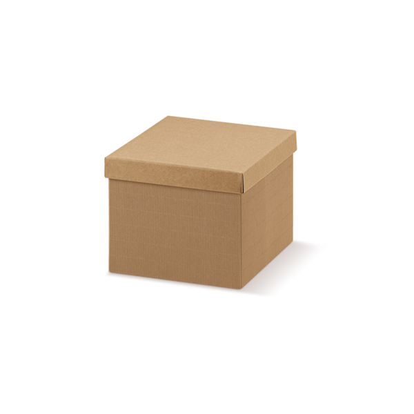 [804.46] 20 U. Cajas 24X17X10 Cm Natural Kraft (1 Unid.)