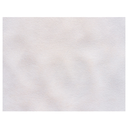 MANTELINES 'SPUNBOND' 60 G/M2 30x40 CM BLANCO PP (800 UNID.)