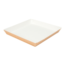 PLATOS 'THEPACK' 245 G/M2 23x23x2,9 CM NATURAL CARTÓN ONDULADO NANO-MICRO (400 UNID.)