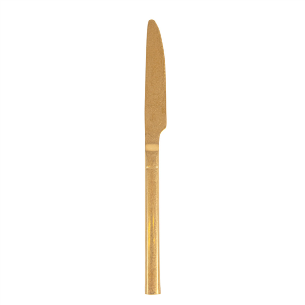 [269.21] CUCHILLOS 'ARTINOX' 22 CM DORADO INOX (12 UNID.)