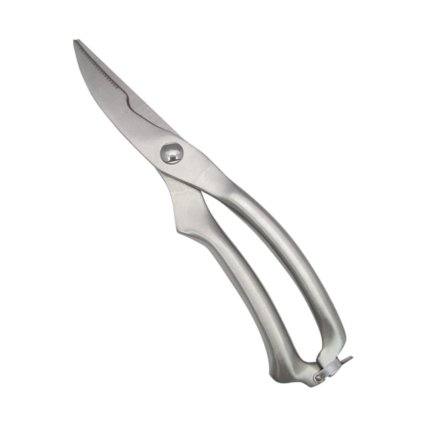 [450.32] Tijeras Para Aves 25 Cm Plateado Inox (1 Unid.)