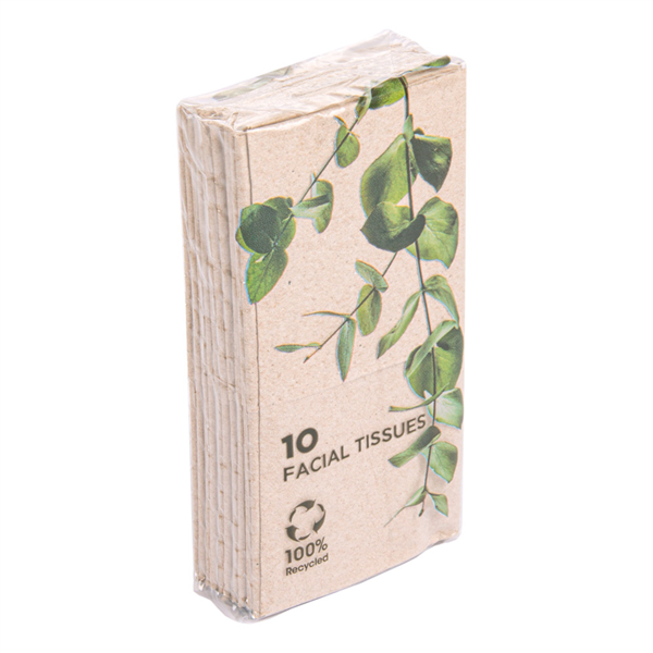 [251.09] 10 U. X 10 U. PAÑUELITOS 3 CAPAS 21x21 CM NATURAL KRAFT (1 UNID.)