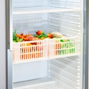 Armario mantenimiento congelados de -15 a -22 ºC ANS-451-I