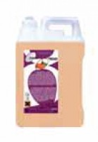 Garrafa Ambientador Celea Mandarina 5l