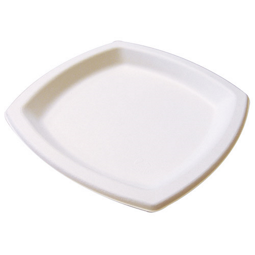 Plato De Pulpa 17x17cm